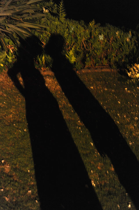 Shadows share a kiss